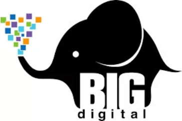xBig-Digital-Partnership.jpg.pagespeed.ic.Qw9f6Teowp@2x