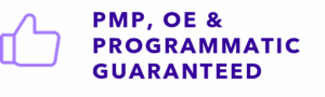 Website Programmatic PMP OE PG 1