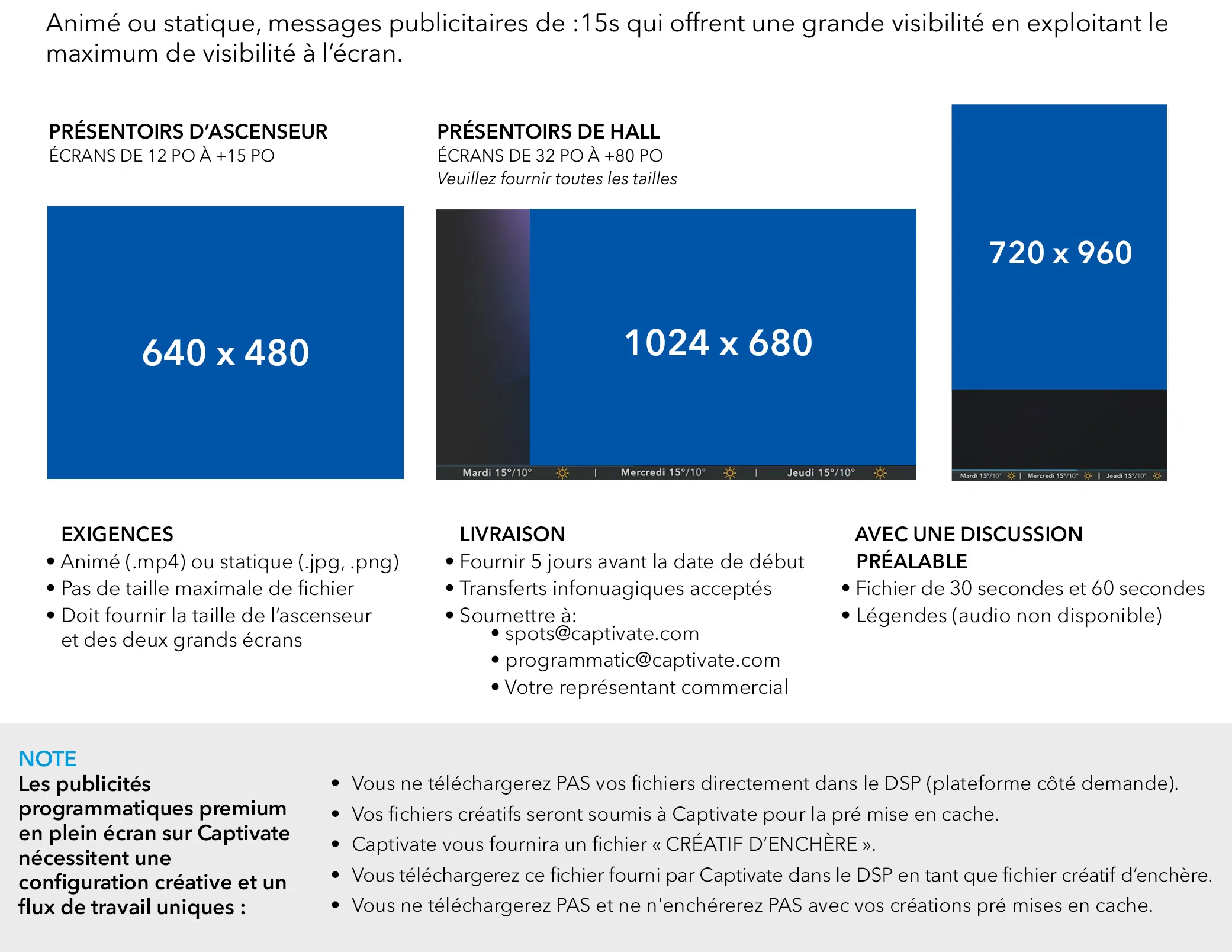 Creative Ad Specs - FRENCH 4 FSA Programmtic French