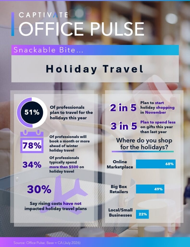 Infographic on holiday travel statistics, shopping trends, and budget impacts for professionals.